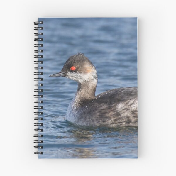 Item preview, Black Necked Grebe designed and sold by LaurenTucker.