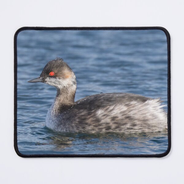 Item preview, Black Necked Grebe designed and sold by LaurenTucker.