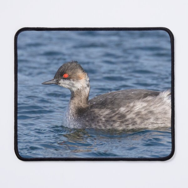Item preview, Black Necked Grebe designed and sold by LaurenTucker.
