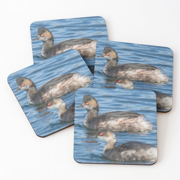 Item preview, Black Necked Grebe designed and sold by LaurenTucker.