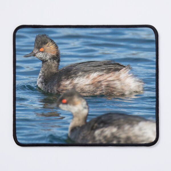 Item preview, Black Necked Grebe designed and sold by LaurenTucker.