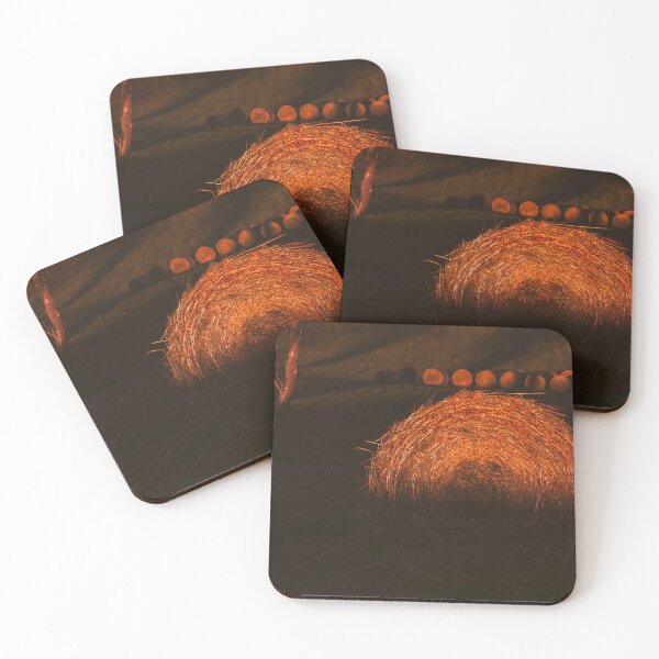 Item preview, Catching First Light designed and sold by Jim Love.