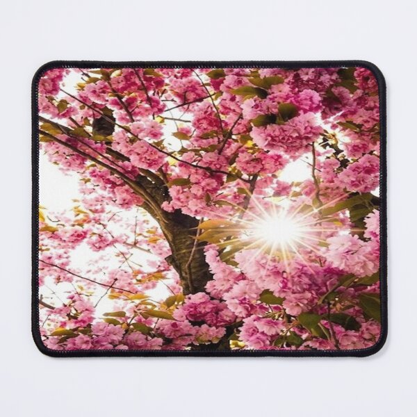 Item preview, Aesthetic Sakura Bloom with Golden Lens Flare designed and sold by Areebanawab.