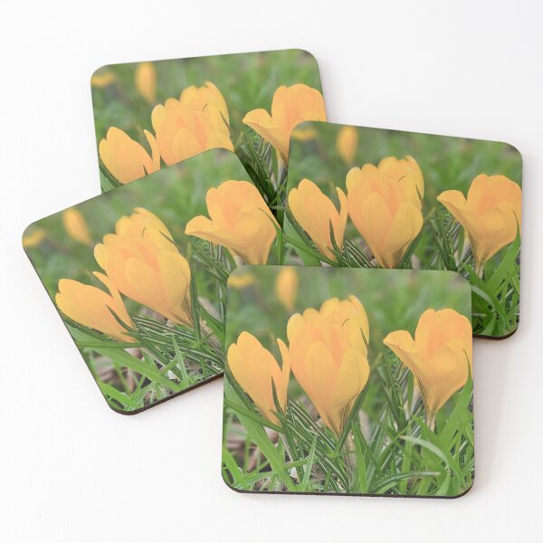 Item preview, Spring Yellow Crocuses. designed and sold by Dinasshop.