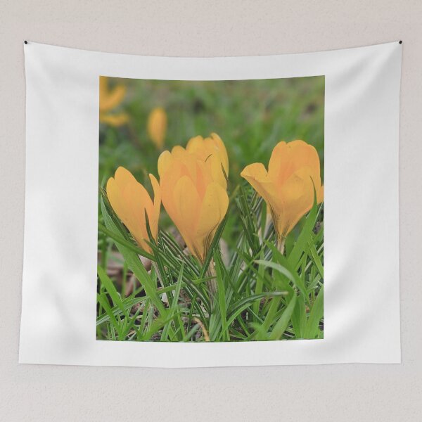 Item preview, Spring Yellow Crocuses. designed and sold by Dinasshop.