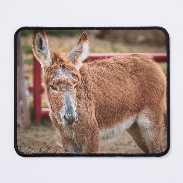 Item preview, Handsome Young Fella designed and sold by Jim Love.