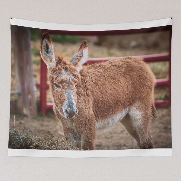 Item preview, Handsome Young Fella designed and sold by Jim Love.