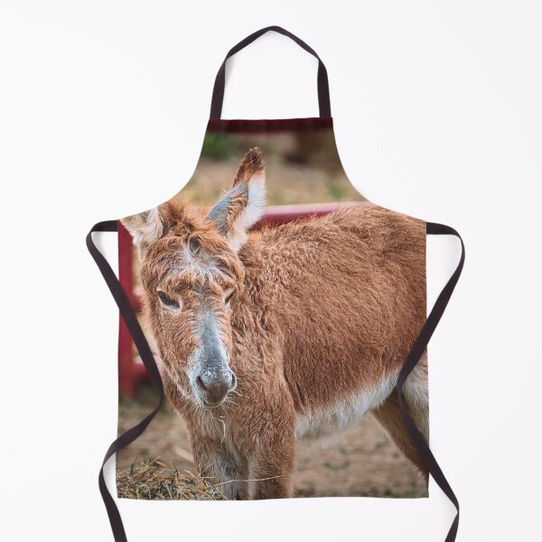 Item preview, Handsome Young Fella designed and sold by Jim Love.