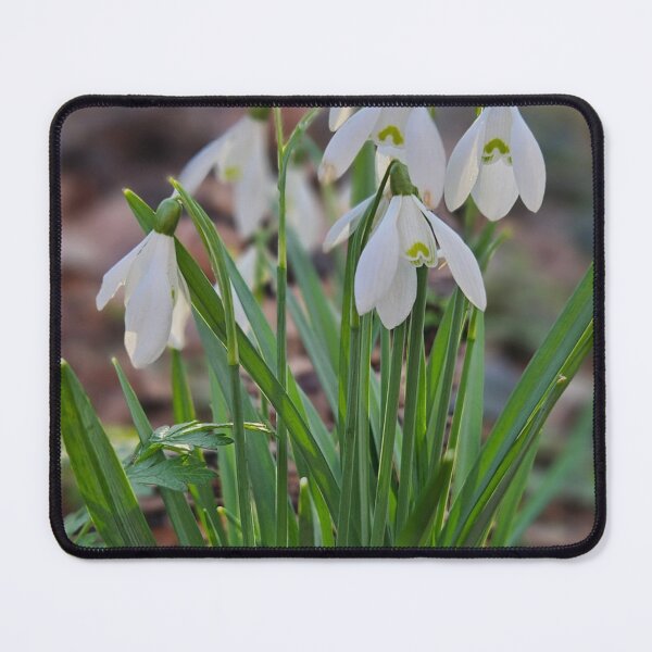Item preview, Snowdrops, The First Spring Flowers. designed and sold by Dinasshop.
