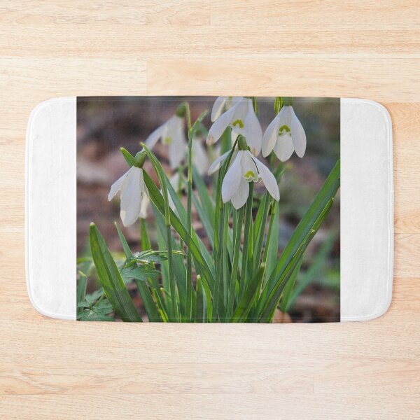 Item preview, Snowdrops, The First Spring Flowers. designed and sold by Dinasshop.