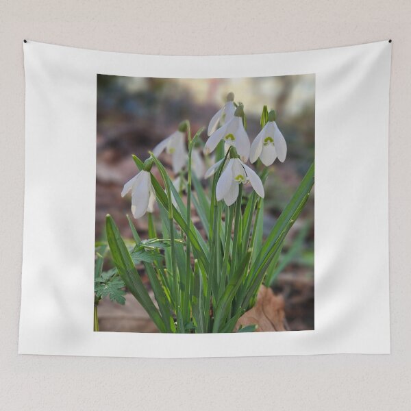 Item preview, Snowdrops, The First Spring Flowers. designed and sold by Dinasshop.