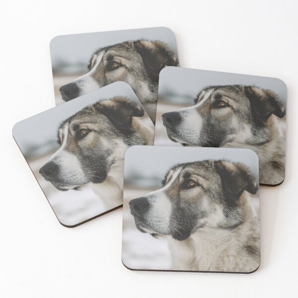 Item preview, Central Asian Shepherd Profile designed and sold by Elisabeth Lucas.