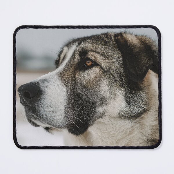 Item preview, Central Asian Shepherd Profile designed and sold by Elisabeth Lucas.