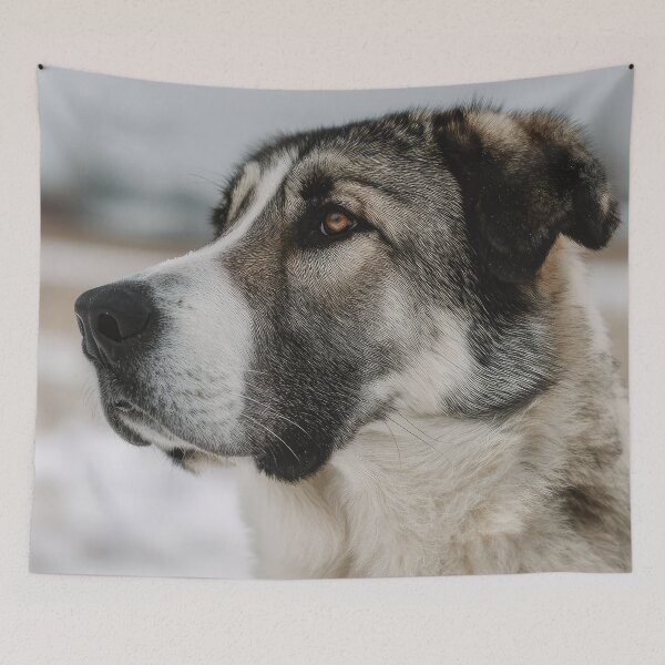 Item preview, Central Asian Shepherd Profile designed and sold by Elisabeth Lucas.