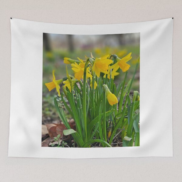 Item preview, Spring Yellow Daffodils. designed and sold by Dinasshop.