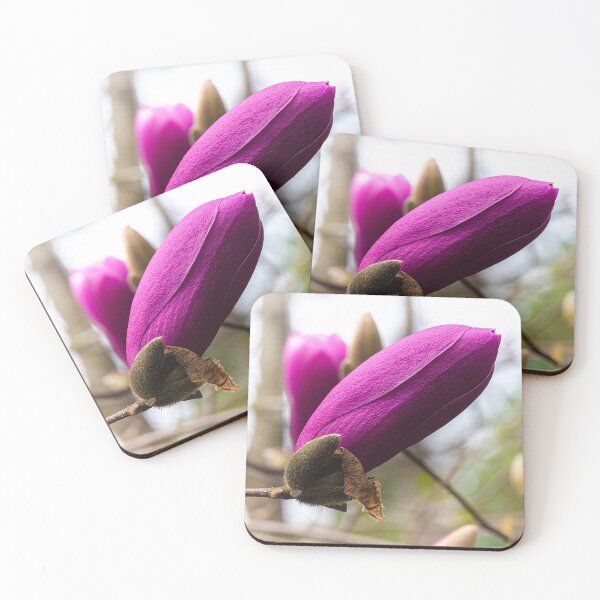 Item preview, Early Spring Magnolia designed and sold by kngfrank.