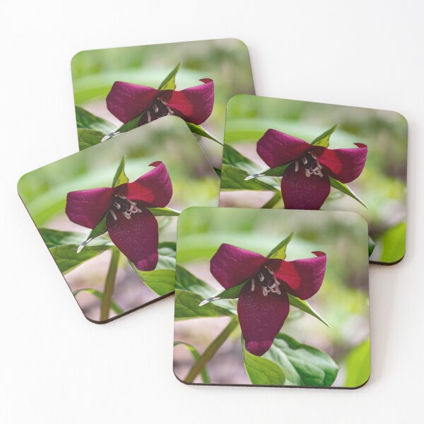 Item preview, Red Trillium, Early Spring designed and sold by kngfrank.