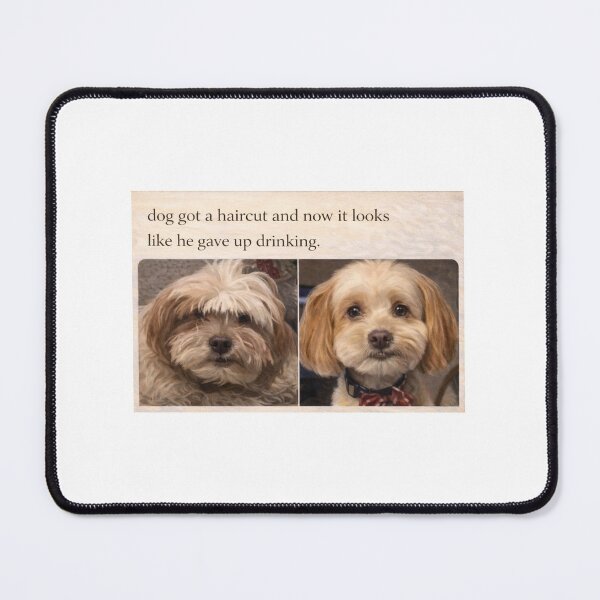 Item preview, Dog's transformation before and after haircut designed and sold by donchago.