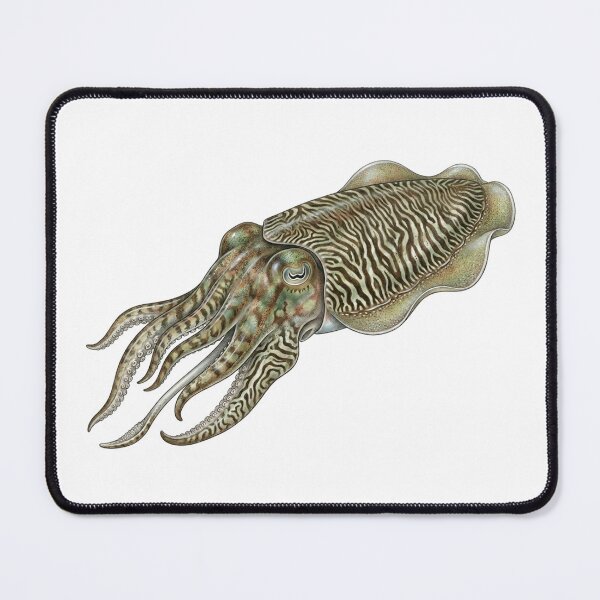 Item preview, Cuttlefish designed and sold by Chaoscience.