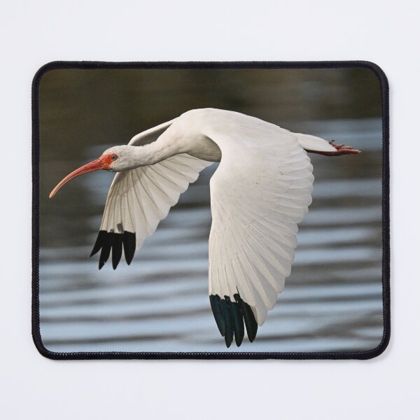 Item preview, From the tips designed and sold by Glennphotos.