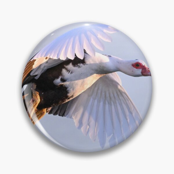 Item preview, Momma Muscovy  designed and sold by Glennphotos.