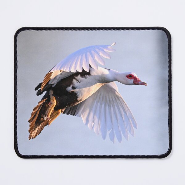 Item preview, Momma Muscovy designed and sold by Glennphotos.