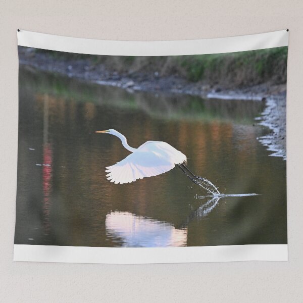 Item preview, Kicks up the spray  designed and sold by Glennphotos.
