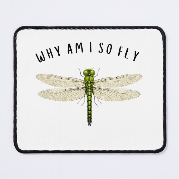 Item preview, Why Am I So Fly Funny Dragonfly Pun Insect Lover designed and sold by faridman.