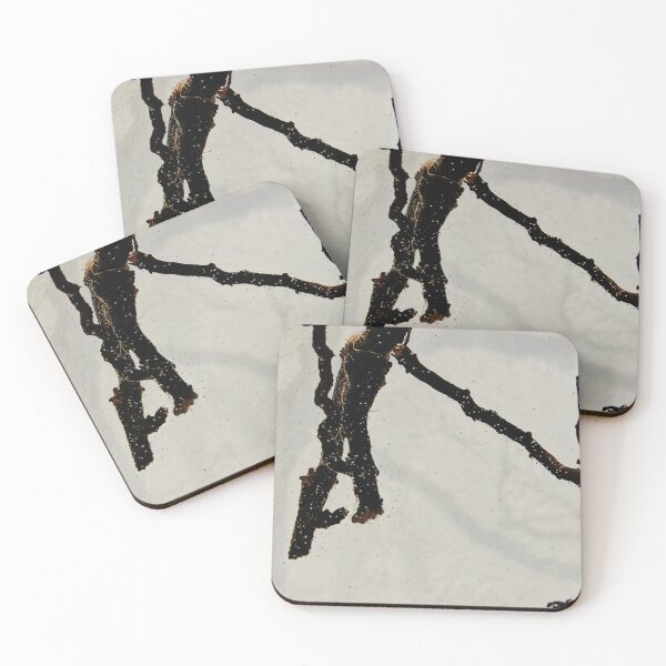 Item preview, Part of the Whole VI designed and sold by Eidetic Photos.