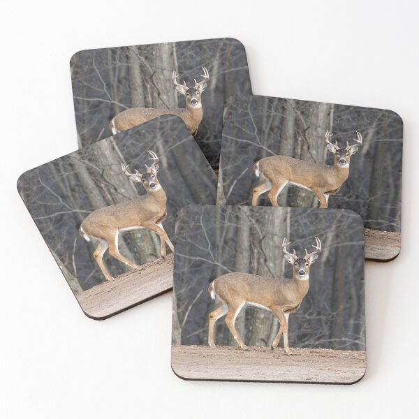 Item preview, Big Buck 3-2-2026 designed and sold by Thomasyoung.