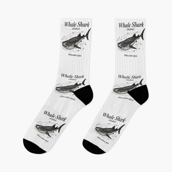 Item preview, Walhai - Whale Shark Vintage  – Rhincodon typus Ocean Marine designed and sold by JessArty ⭐⭐⭐⭐⭐.