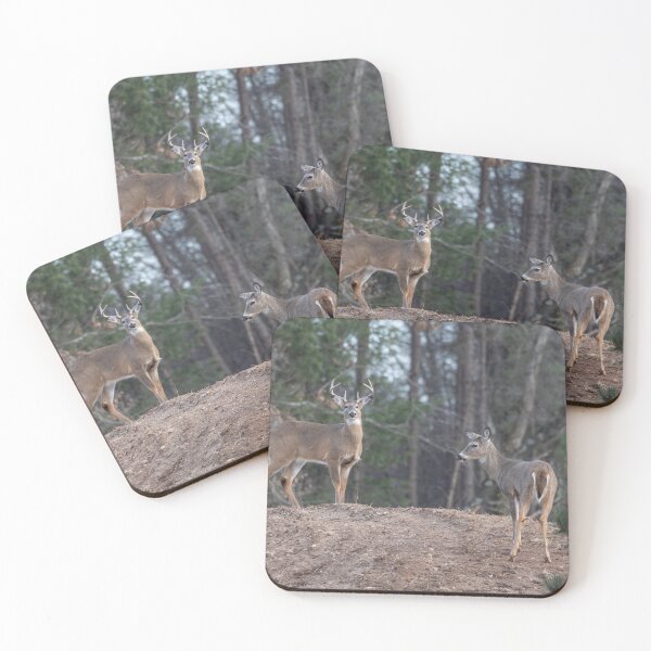 Item preview, White-tailed Buck and Doe 3-2-2026 designed and sold by Thomasyoung.