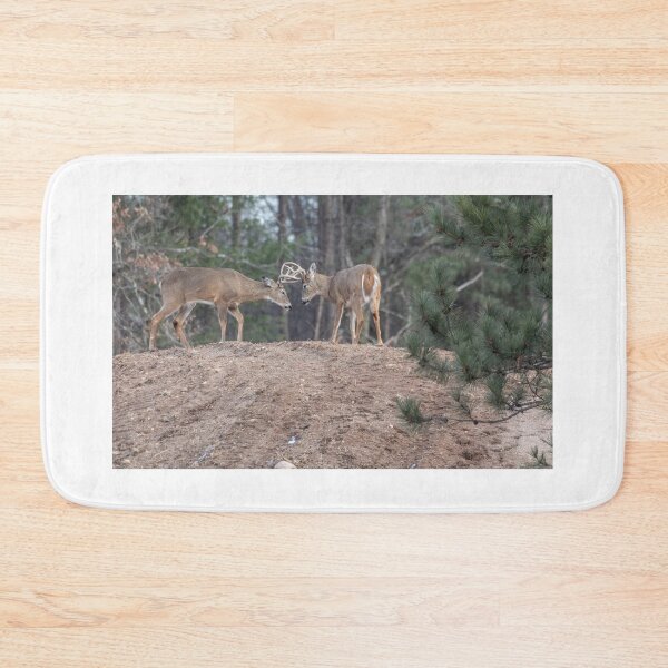 Item preview, 2 White-tailed Bucks sparring 3-2-2026 designed and sold by Thomasyoung.