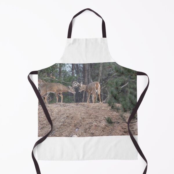 Item preview, 2 White-tailed Bucks sparring 3-2-2026 designed and sold by Thomasyoung.