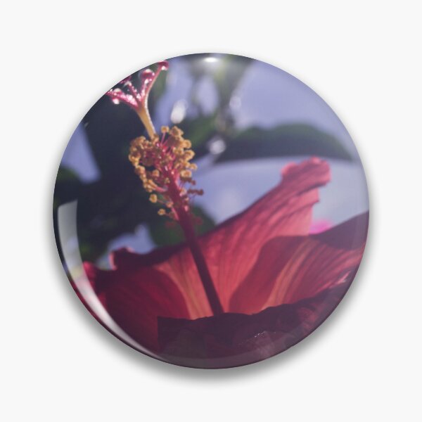 Item preview, Hibiscus Under the Sun designed and sold by ROSE ANN BANILAR.