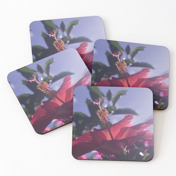 Item preview, Hibiscus Under the Sun designed and sold by ROSE ANN BANILAR.