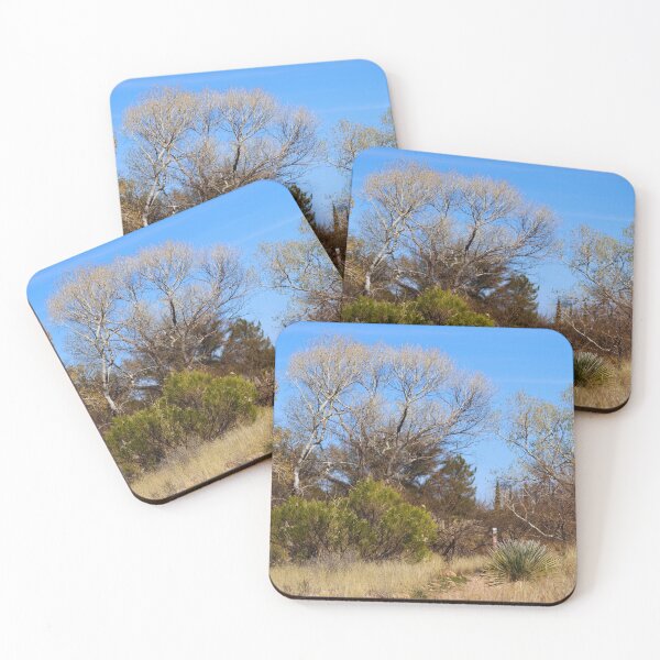 Item preview, Desert Pathway and Bare Trees designed and sold by Phakade's Photos.