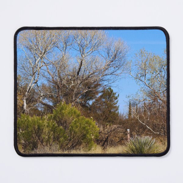 Item preview, Desert Pathway and Bare Trees designed and sold by Phakade's Photos.