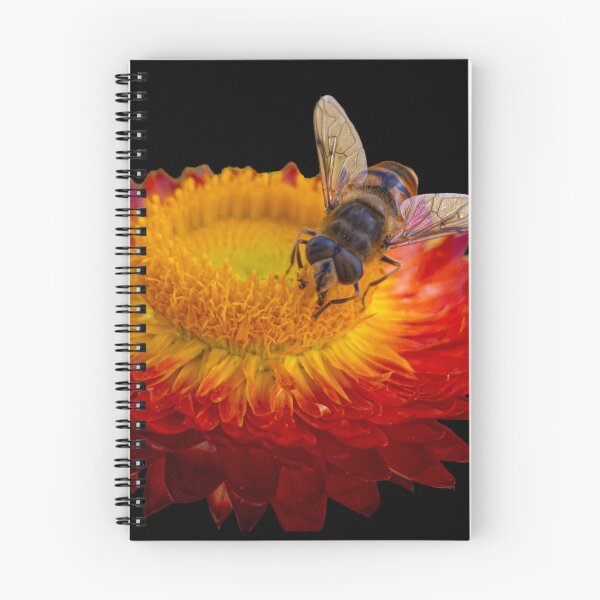 Item preview, Straw flower and friend designed and sold by AndrewWilson.