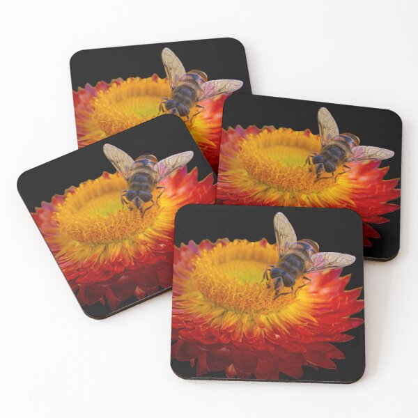 Item preview, Straw flower and friend designed and sold by AndrewWilson.