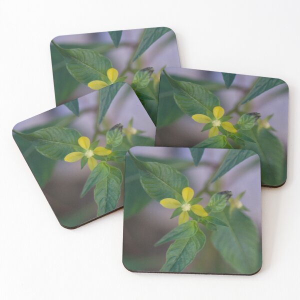 Item preview, Ludwigia designed and sold by ROSE ANN BANILAR.