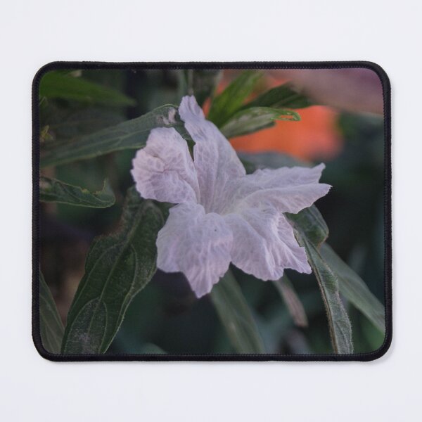 Item preview, White Ruellia simplex designed and sold by ROSE ANN BANILAR.