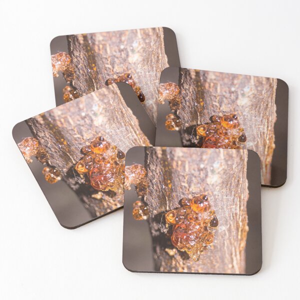 Item preview, Tree Resin designed and sold by ROSE ANN BANILAR.