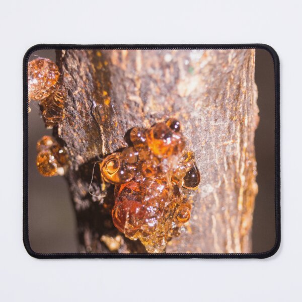 Item preview, Tree Resin designed and sold by ROSE ANN BANILAR.