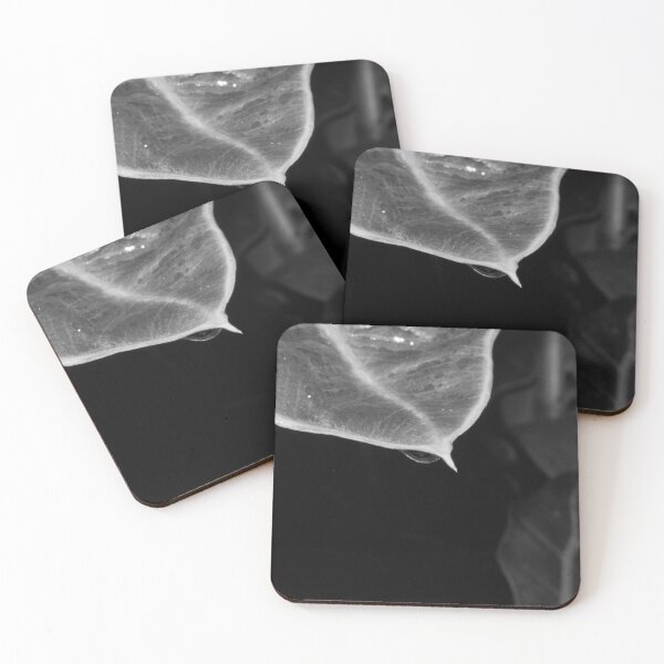 Item preview, B&W - Droplet from a Leaf designed and sold by ROSE ANN BANILAR.