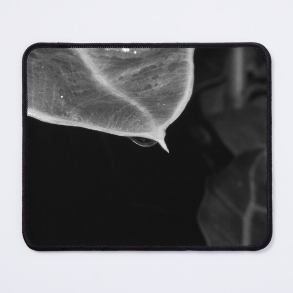 Item preview, B&W - Droplet from a Leaf designed and sold by ROSE ANN BANILAR.