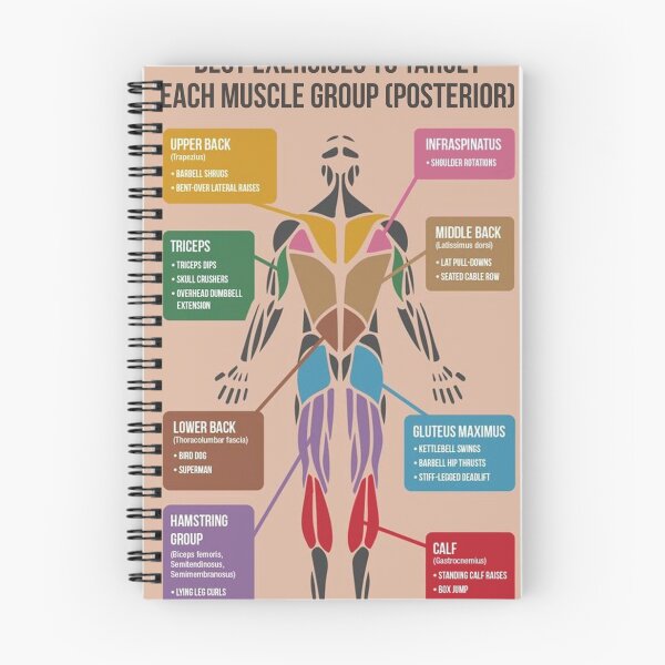 Item preview, Best Exercises For Each Muscle Group (Posterior) designed and sold by superfitstuff.