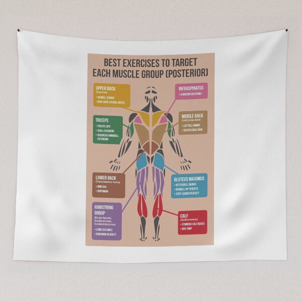 Item preview, Best Exercises For Each Muscle Group (Posterior) designed and sold by superfitstuff.