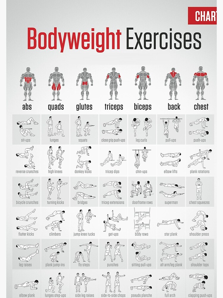 Build Muscle Workouts For Your Neck Bodyweight Neck Exercises