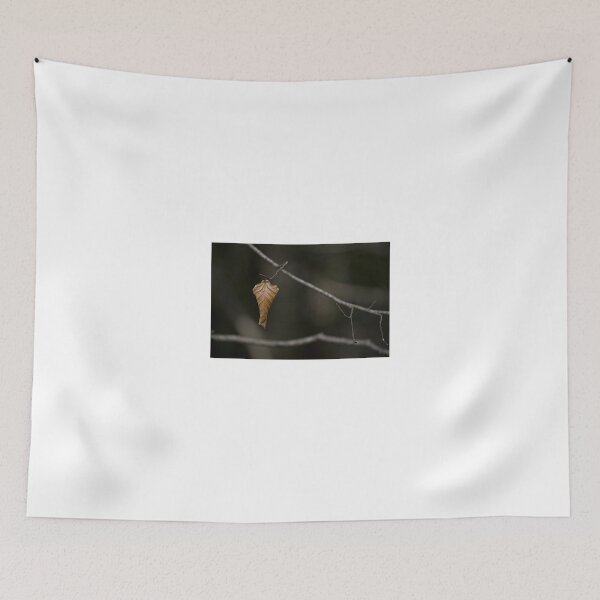Item preview, About to drop. designed and sold by Nigel R Bell Photography.